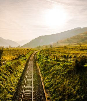 wein lese wachau fotografie stimmungsvoll niederösterreich weg